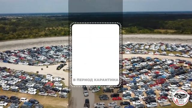 Карантин - время скидок! / AutoAmerica - авто из США смотреть онлайн