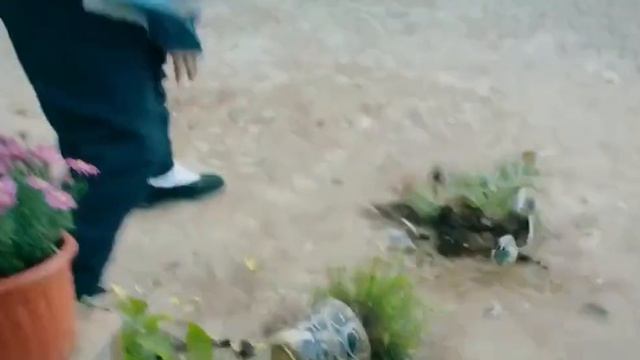 Hong Boxing (Kungfu Subtitle Indonesia) смотреть онлайн