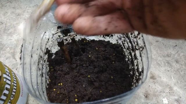 Черенкование малины. смотреть онлайн