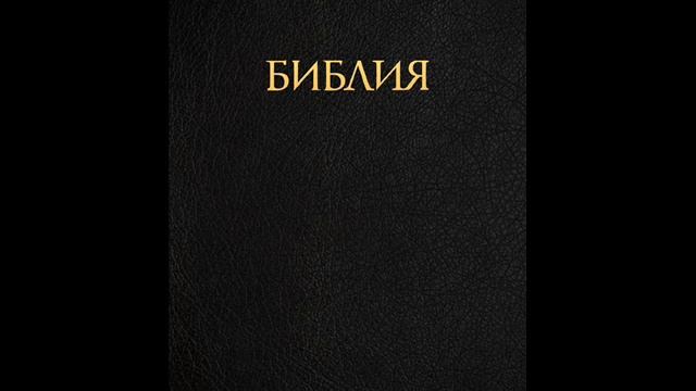 mat 12 смотреть онлайн