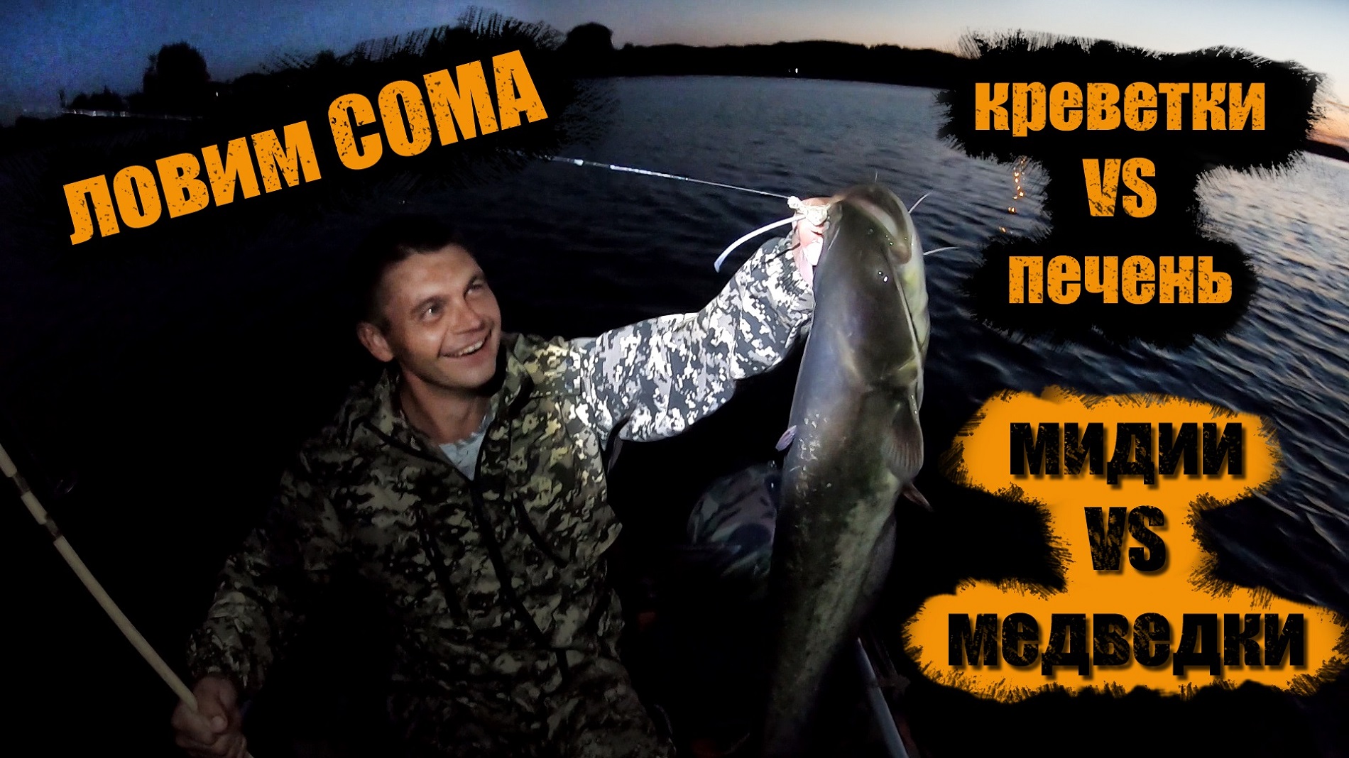 Как ловить СОМА || Сом на Печень || Сом на креветки || Сом на мидии || Сом на медведку || Как ловить