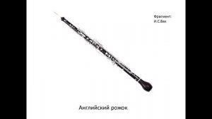 МУЗЫКАЛЬНЫЕ ИНСТРУМЕНТЫ СИМФОНИЧЕСКОГО ОРКЕСТРА.