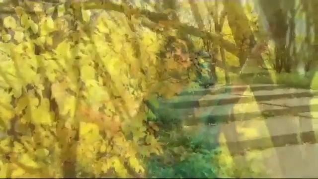 Алые Цветы смотреть онлайн