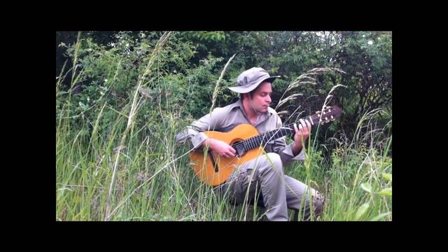 The Beatles - Michelle - Guitar смотреть онлайн