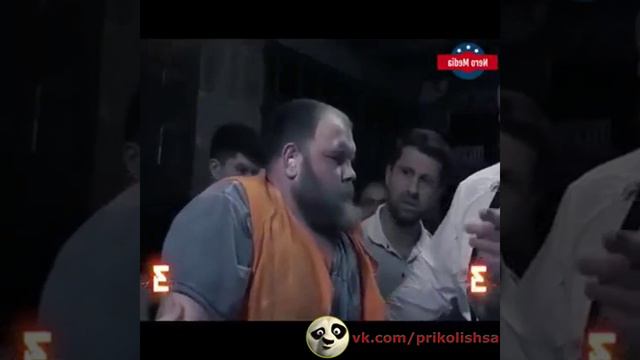 Пощечина - чемпионат мира