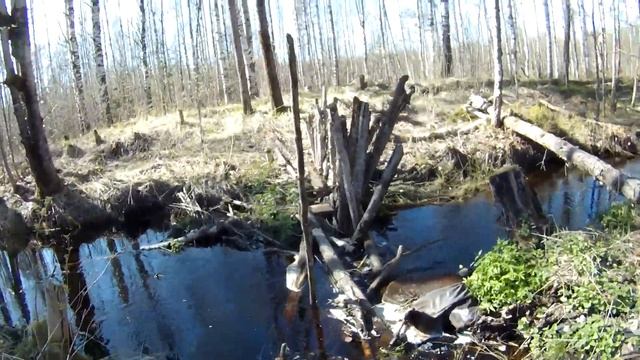 Экскурсионный обзор.Карьеры и озера в р-не поселка Лепсари. Всеволожский р-н. 09.05.2019. смотреть онлайн