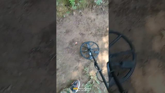 Minelab Equinox 900 deep test 50 &45 cm target смотреть онлайн