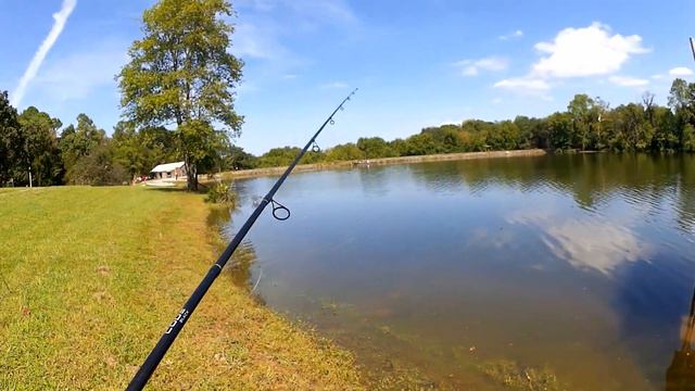 The Best Bass Fishing Lure For Early Fall - Realistic Bass Fishing! смотреть онлайн