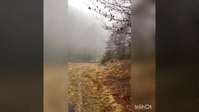 Карпатские покатушки Tucson и Sorento смотреть онлайн