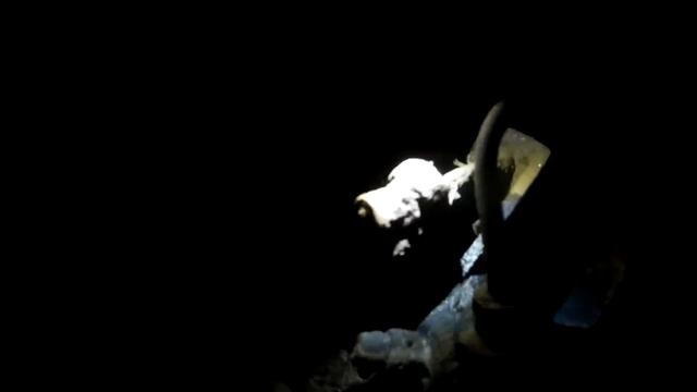 снова рено меган2 про ручник и пружины к ручнику" смотреть онлайн