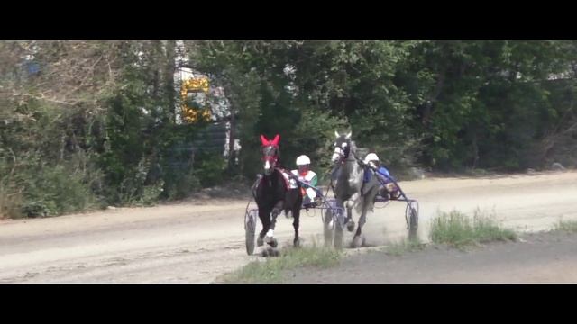 Бега-Заезд для лошадей орловской рысистой породы старшего возраста.Абаканский ипподром 06.06.2015 смотреть онлайн