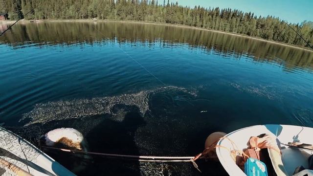 Феерическая рыбалка?Половина палета палии с одной точки?Клев на заброс[Лучшая рыбалка на спиннинг] смотреть онлайн