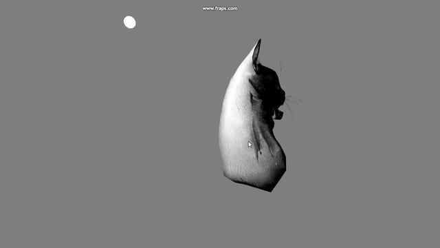 Grumpy Cat OpenGL смотреть онлайн