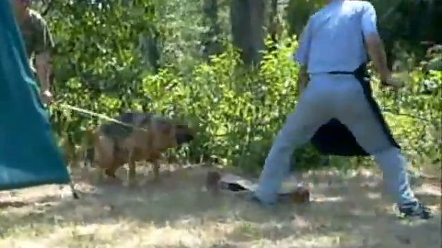 ТАНЦЫ С БИЧОМ МОЛДАВСКОГО "СПЕЦА"ЧУПЕРКА,ч.1 смотреть онлайн