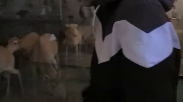 MOV04E смотреть онлайн