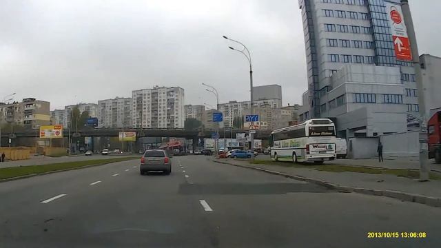 Голубь в пыль