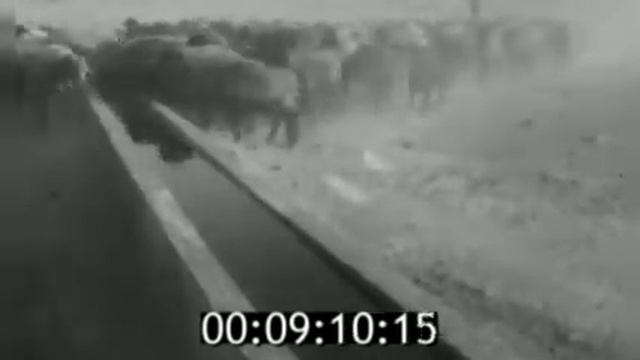 #ссср #вода #пустыня #россия Водоподъемная электроустановка в пустыне 1972 год исторические кадры смотреть онлайн