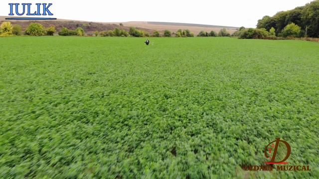 DEMO YAMAHA PSR SX900 4K UHD ❤️💙💚💛💜❤️👏😍 смотреть онлайн