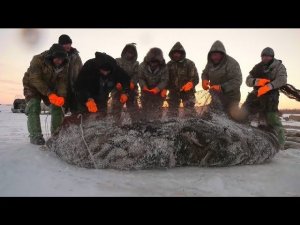 С полем! “Рыбацкая доля”