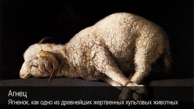 Агнец.Толковый Видеословарь русского языка смотреть онлайн