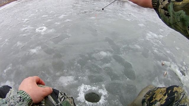 Щука на жерлицы, как наловить живца на подвесной крючок и безмотылку #Щуканажерлицы #pike #perch смотреть онлайн