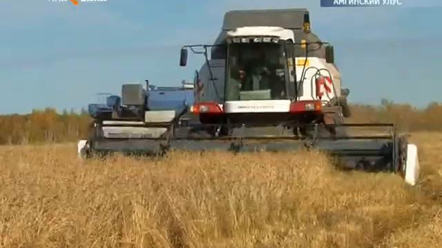 В Амгинском районе полным ходом идет уборочная кампания смотреть онлайн