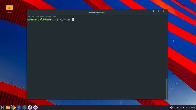 Install sl, cowsay and zsh on Linux | SiliconHybrid смотреть онлайн