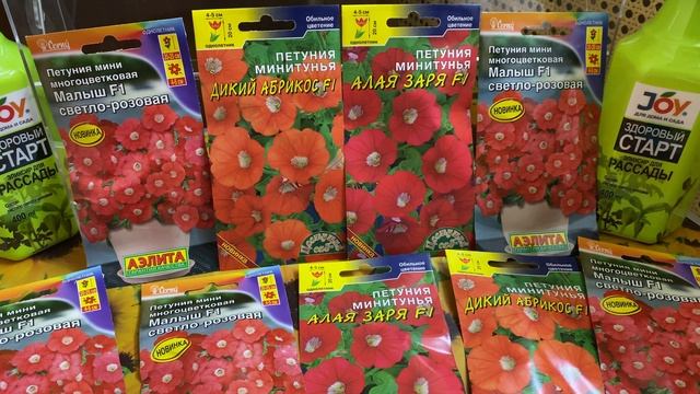Минитунии — мини-Петунии. В чем их особенности? смотреть онлайн