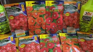 Минитунии — мини-Петунии. В чем их особенности?