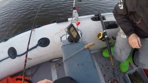 Ловим СОМА на КВОК! Приехал в гости к Брату / Река Волхов