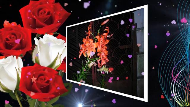 Скажи мне нежные слова. Исполняет Александр Лукьяненко. Слова Л. Рубальской, Музыка А. Лукьяненко.