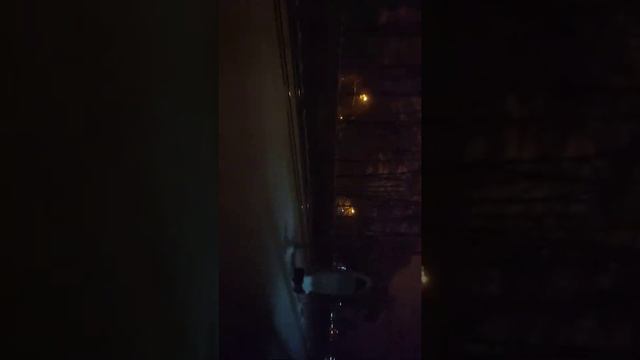 Вид из окна экспресса от Москвы до Болшево смотреть онлайн