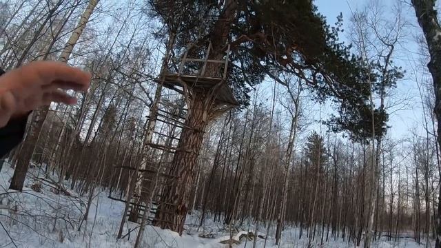 ЗИМНИЙ ВЫЕЗД В ЛЕС НА РОСОМАХЕ/ДОВОЛЕН ЛИ Я РОСОМАХОЙ????? смотреть онлайн