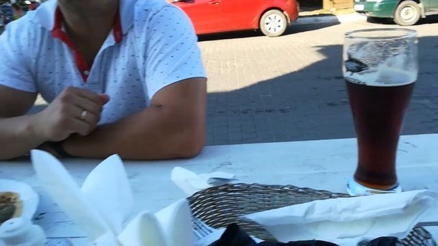 Гуляем по Плесу. Показали дачу Медведева смотреть онлайн