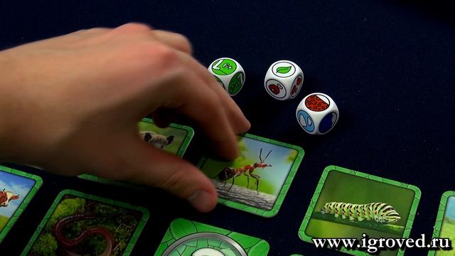Следопыт. Обзор настольной игры от Игроведа. смотреть онлайн