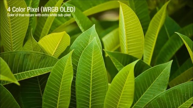 КАК ВЫБРАТЬ ТЕЛЕВИЗОР смотреть онлайн