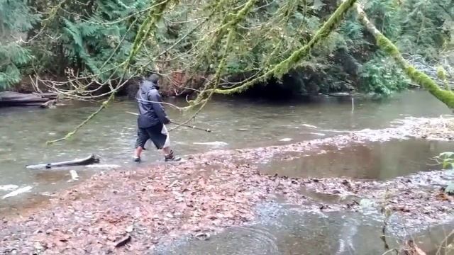 Salmon Run. Нерест Кеты смотреть онлайн