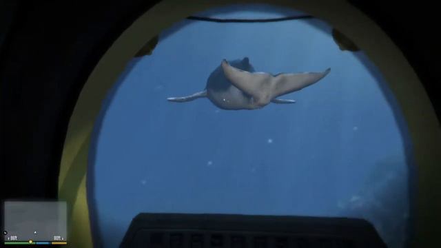 [GTAV - PS4] A Humpback Whale смотреть онлайн