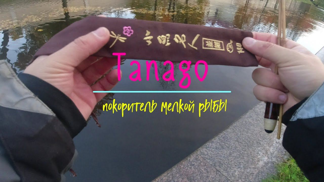 #384 | Мормышинг & Танаго | Жирная уклейка |