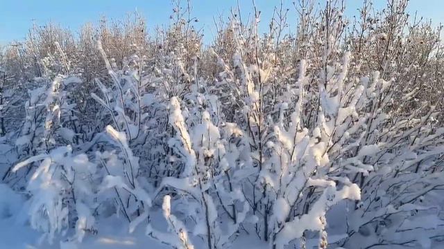Навстречу полярной ночи смотреть онлайн
