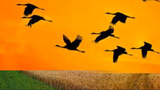 Где ты ? Кавер на песню Ирины Круг смотреть онлайн