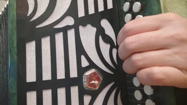 В тихую лунную ночку, песня на гармони смотреть онлайн