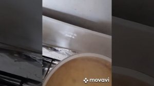 ?Сыр из молозива...