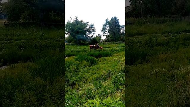 24 ноября 2020 г. смотреть онлайн