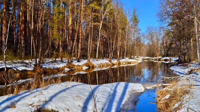 Светлана Барышева (Иван Бунин - Христос Воскрес) смотреть онлайн
