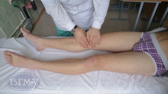 Пальпация большой подкожной вены смотреть онлайн