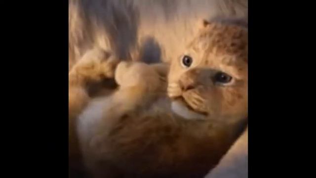 Спи мое солнышко смотреть онлайн