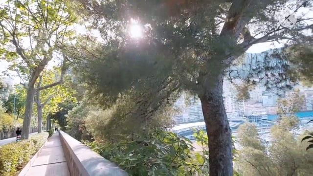 VIEW OF MONACO PORT FROM MONACO-VILLE/TOURIST ATTRACTION