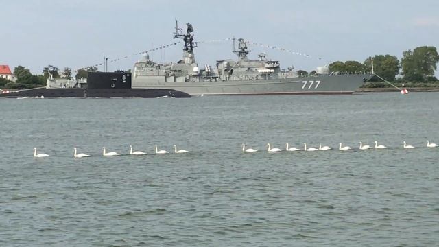 Проход боевых лебедей смотреть онлайн