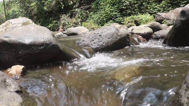 The Sound of Clear Mountain Stream Water, Relaxes Your Mind, Reduces Stress and Helps You Sleep смотреть онлайн
